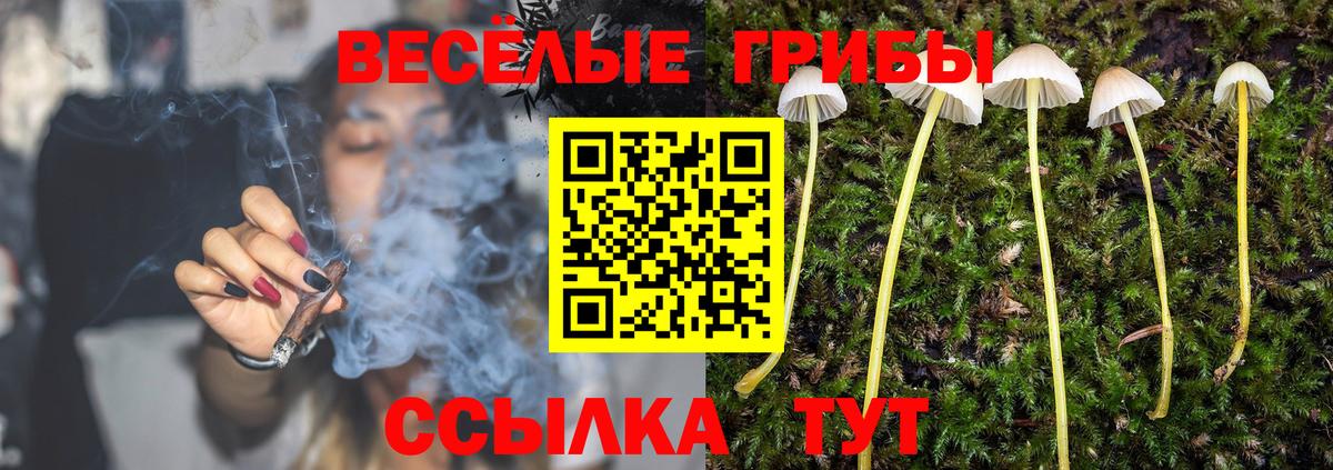 Ногинск  Галлюциногенные грибы MAGIC MUSHROOMS  Вход с VPN 